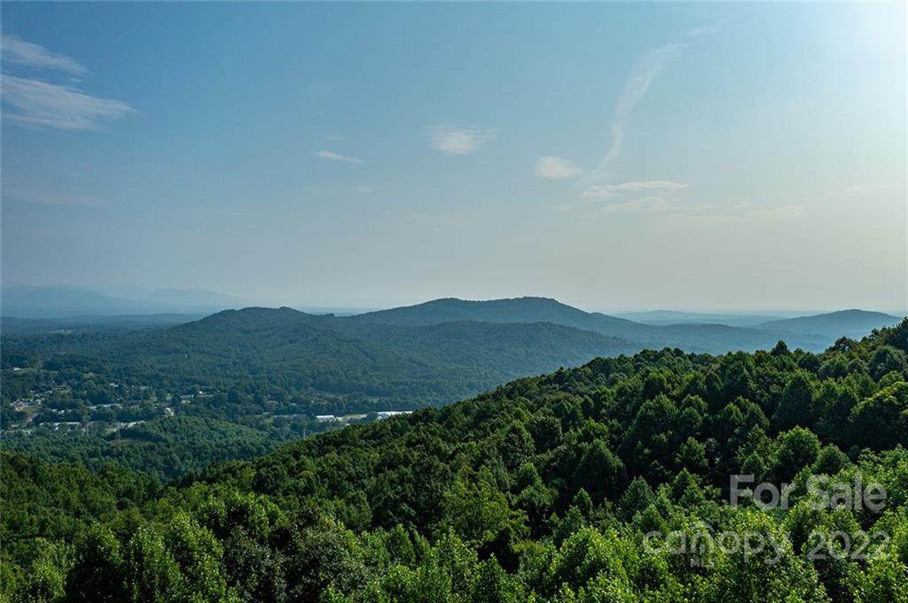 36117 Pisgah View Drive - Photo 1