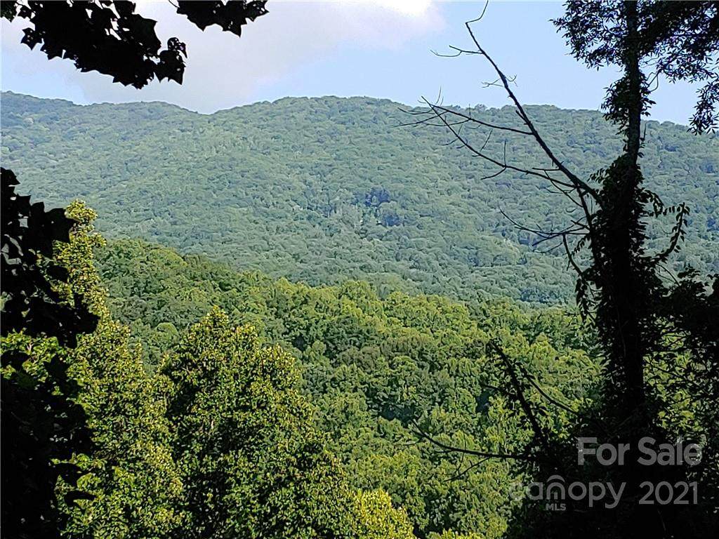 185 Pointer Trail - Photo 1
