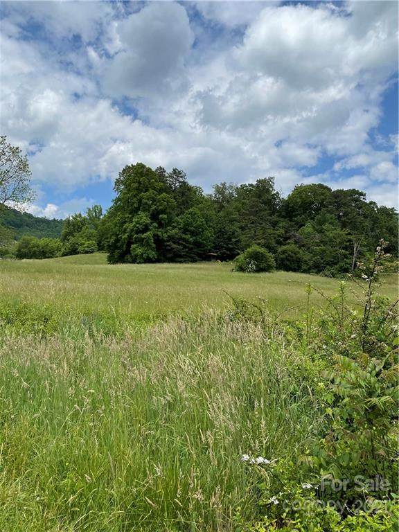 00 Mease Farm Road - Photo 1