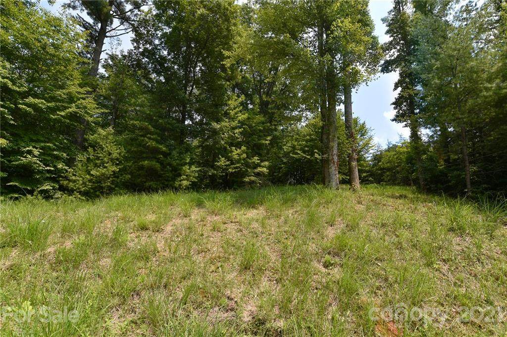 Lot 5 The Vines Boulevard - Photo 1