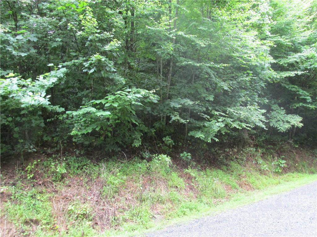 00 Jasper Lea Road - Photo 1