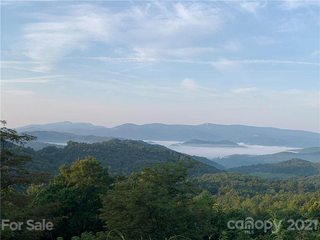 TBD Locust Gap Road - Photo 1