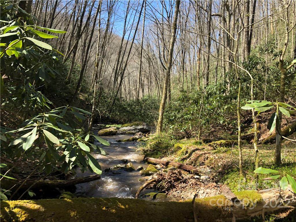 Lots 26B and 26C Black Rock Creek - Photo 1