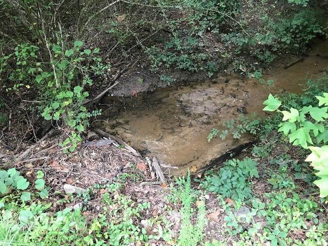0 Dakota Drive - Photo 1