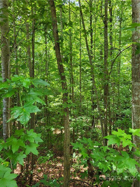 lot 22 Weatherwood Drive - Photo 1
