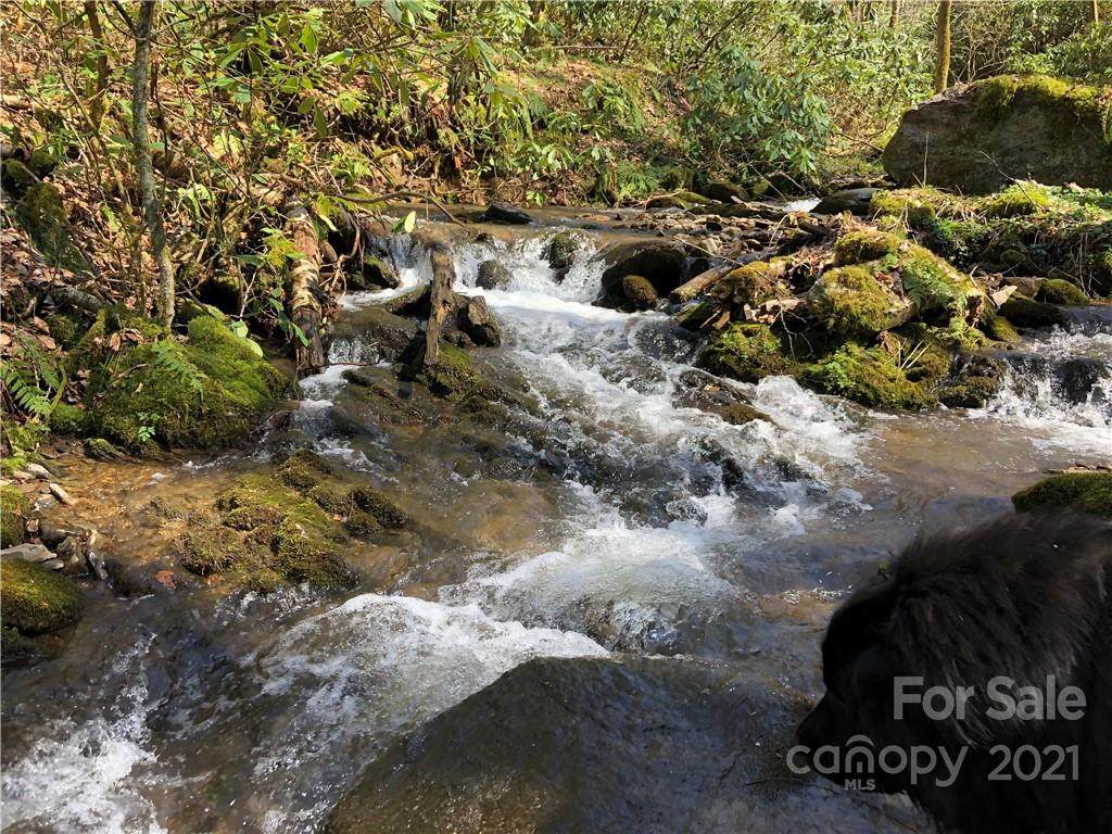 000 Black Rock Creek - Photo 1