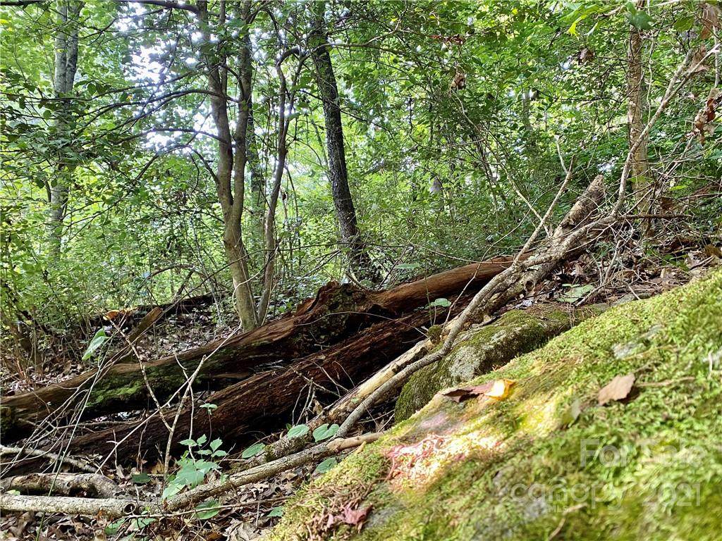 0 Tunnel Road - Photo 1