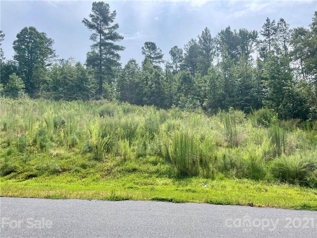 1671 Lake Vista Drive - Photo 1