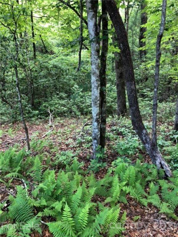 Lot #10 Renea Drive - Photo 1