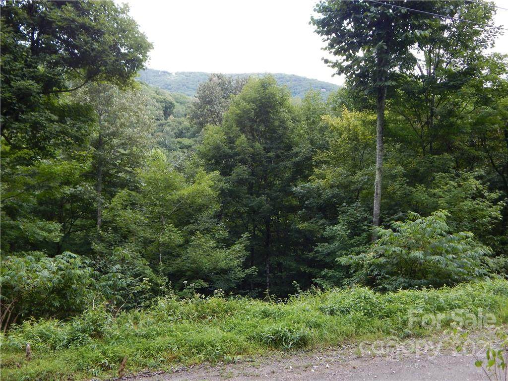 Lot 121 Flame Azalea Lane - Photo 1