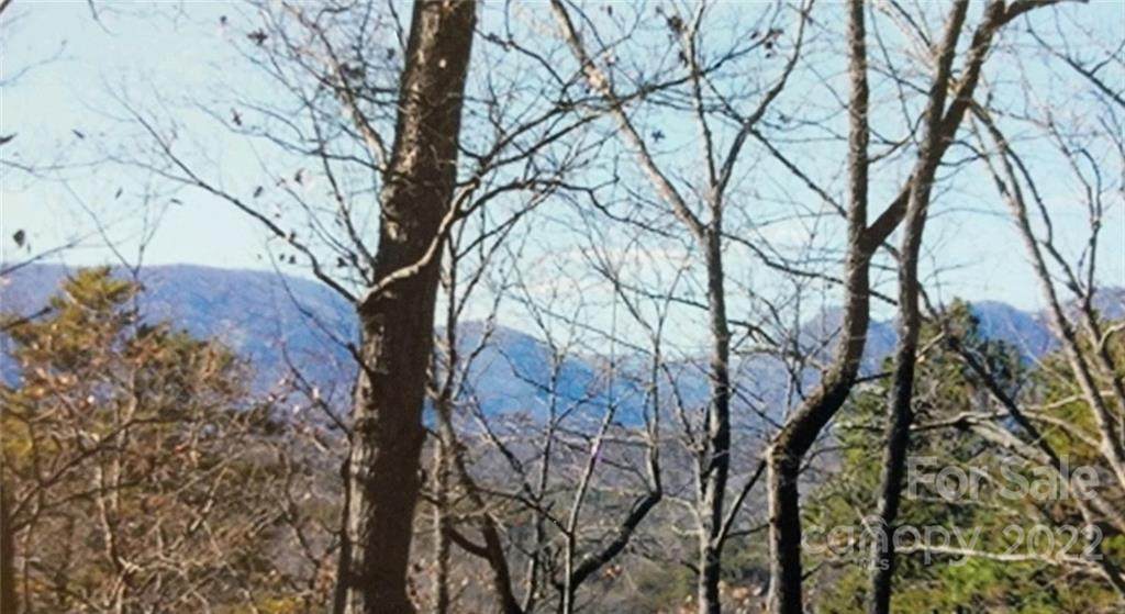 Lot 231 Amys Ridge Road - Photo 1