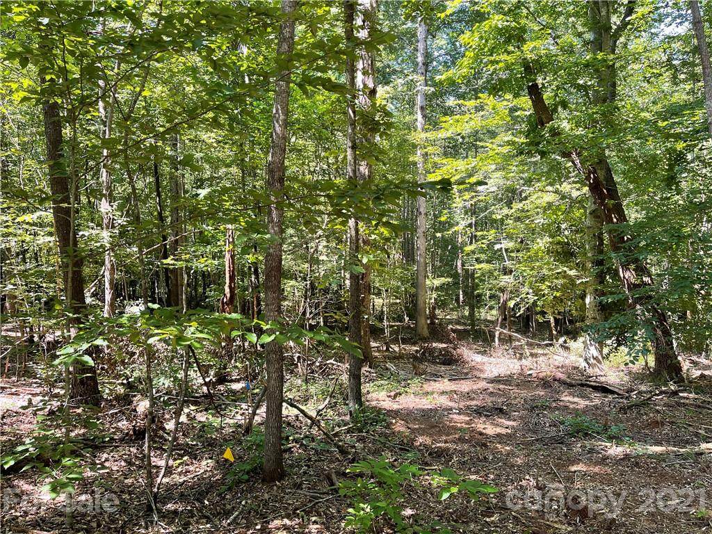 163 Forest Creek Drive - Photo 1