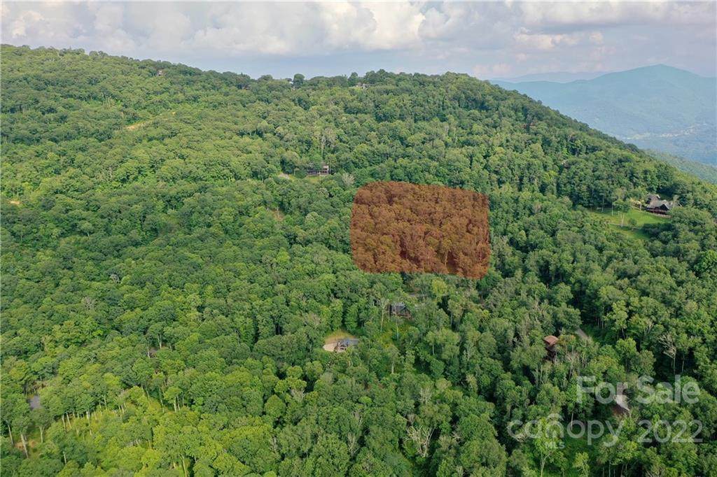 00 Olli Trail - Photo 1