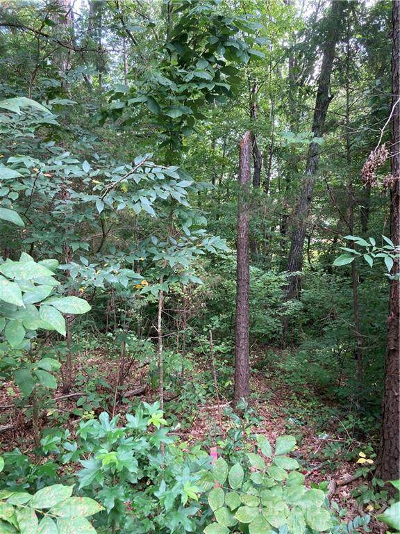 00 Pink Dogwood Avenue - Photo 1