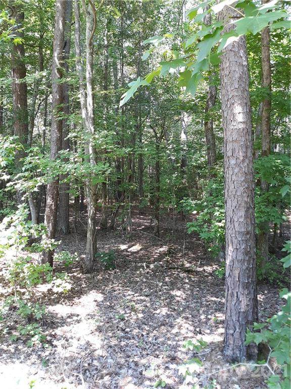 163 Shagbark Court - Photo 1