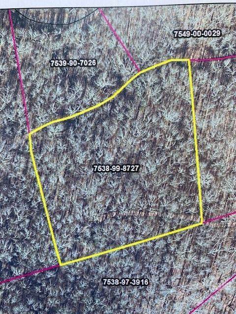 VL 54 Mountain Forest Estates Road - Photo 1