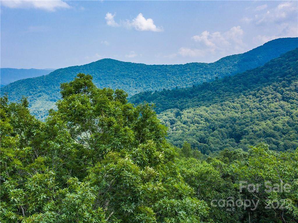 Lot 15 Celo Heights Way - Photo 1