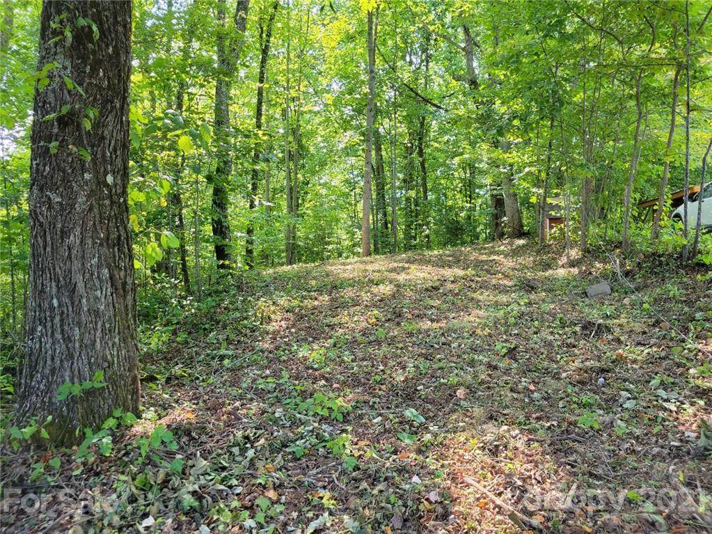 00 Tanner Trail - Photo 1