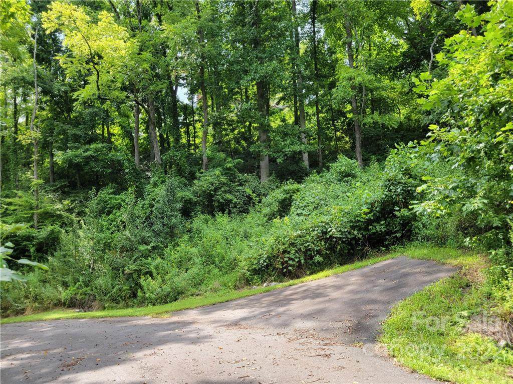 00 Tanner Trail - Photo 1