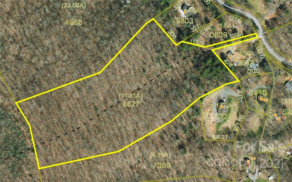 000 Brushy Creek Road - Photo 1