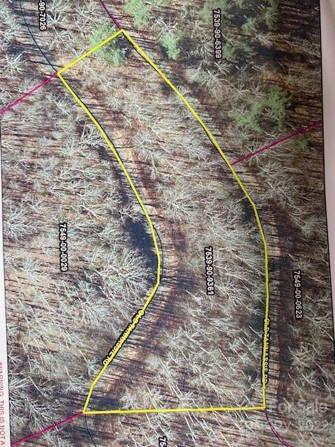 Lot 48 Mountain Forest Estates Road - Photo 1