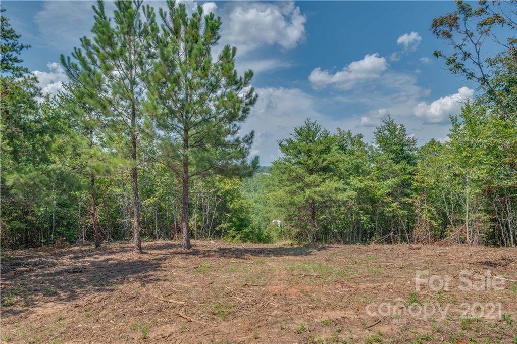 0000 Wells Mill Road - Photo 1