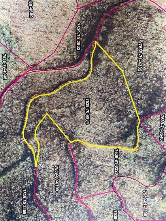 Lot 70 Mountain Forest Estates Road - Photo 1