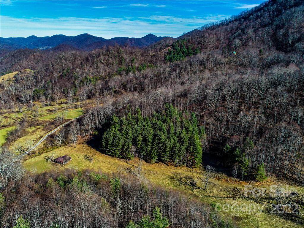 230 Split Pine Cove - Photo 1