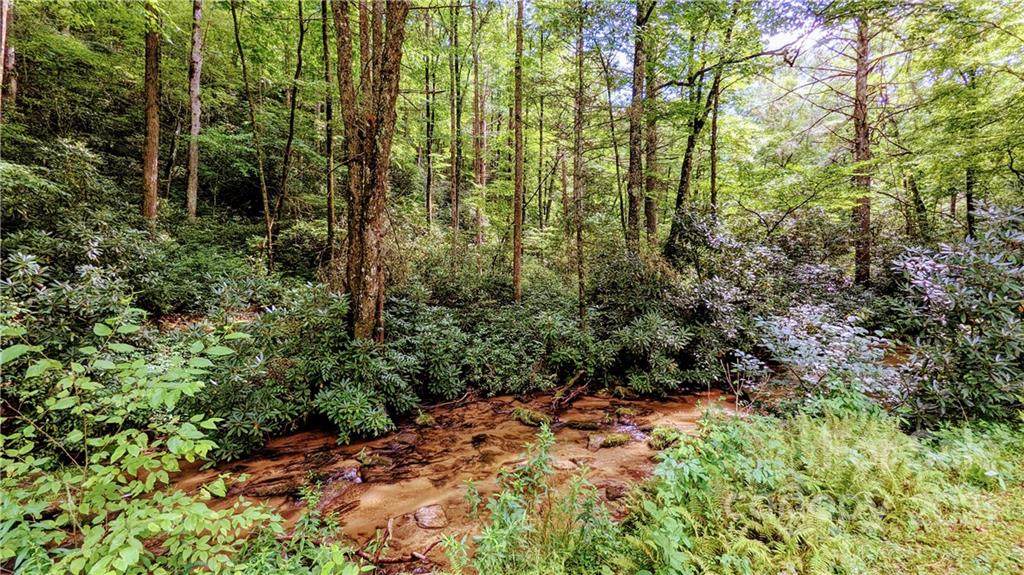 000 Glady Fork Road - Photo 1