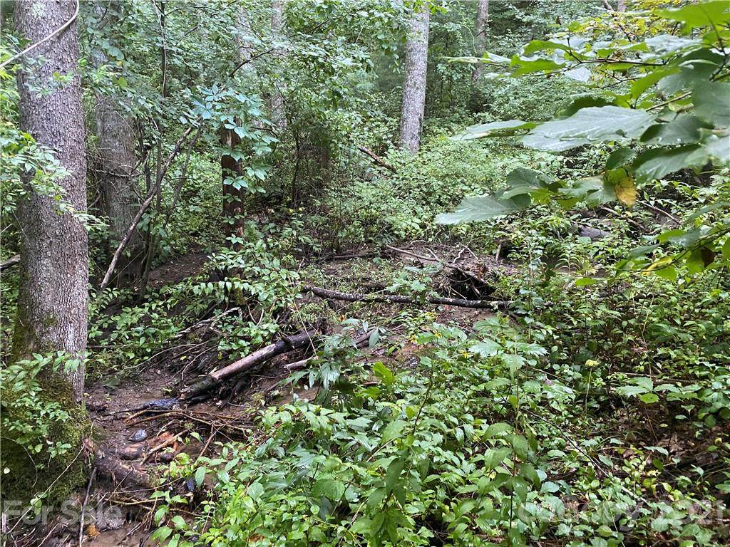 00 Moody Cove Road - Photo 1