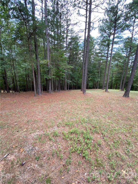 LOT 19 River Park Lane - Photo 1