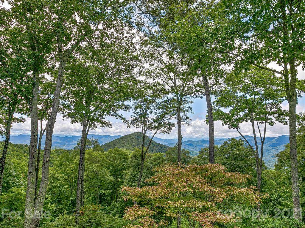 379 Sweet Fern Way - Photo 1