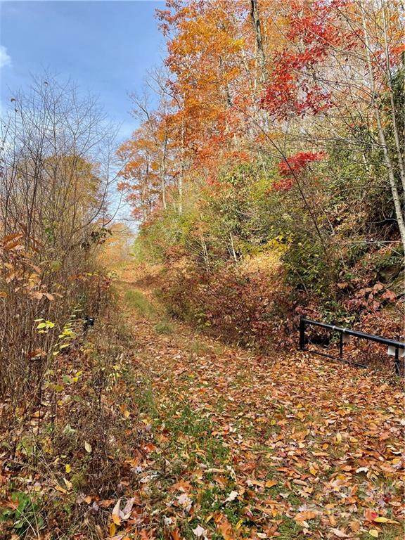 0000 Hornbuckle Road - Photo 1