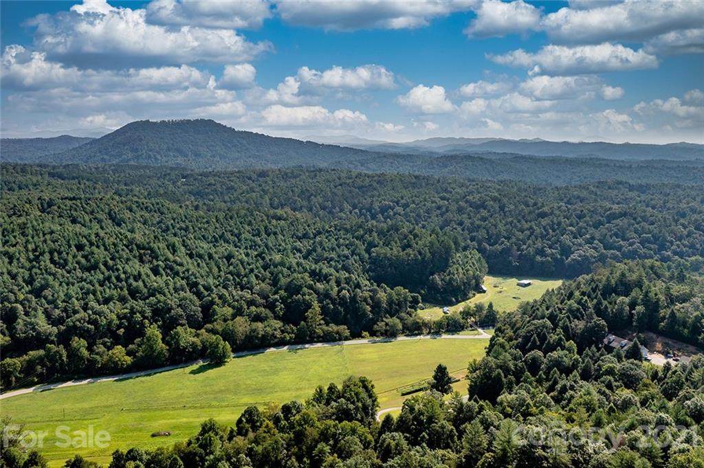 000 (Lot 4) Black Hills Drive - Photo 1