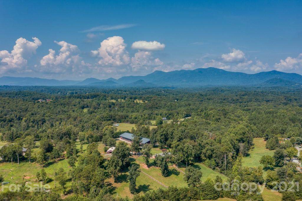 2667 Bill Collins Road - Photo 1