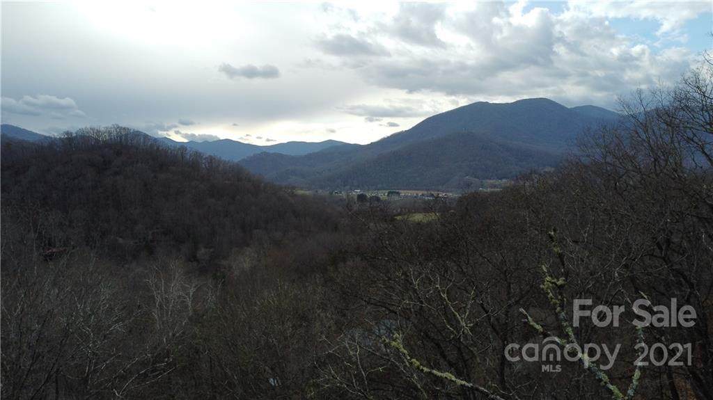 Lot 19B Lono Lane - Photo 1