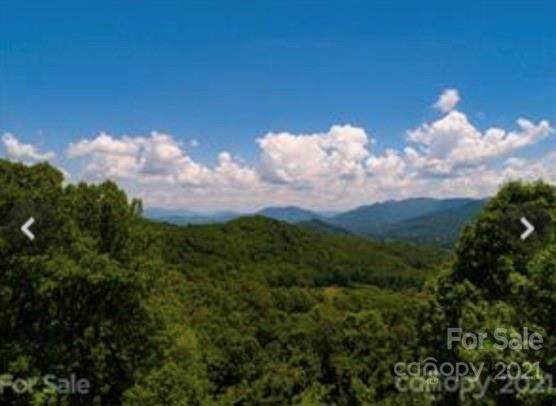 4205 Old Fiddle Road - Photo 1