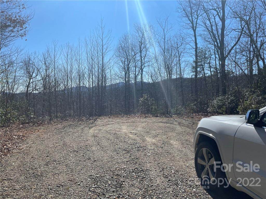 10 +/- Acres Forest Brook Drive - Photo 1