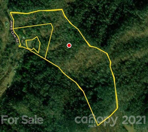 TBD Jarrett Cove Road - Photo 1