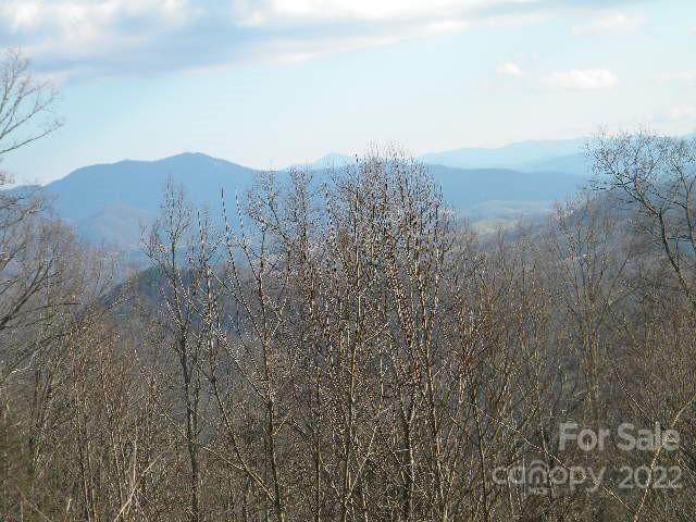 19 Buck Mountain Road - Photo 1