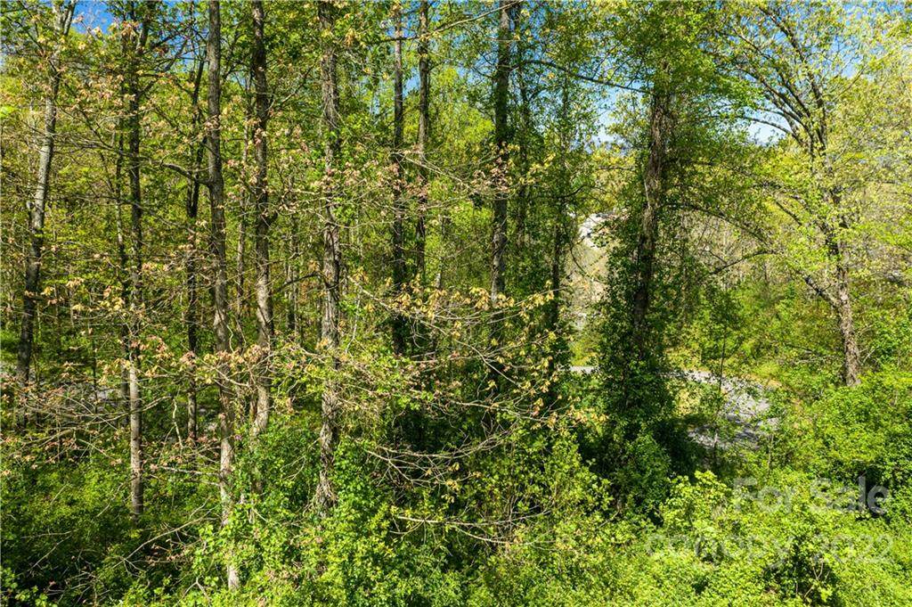12 Tulip Poplar Trail - Photo 1
