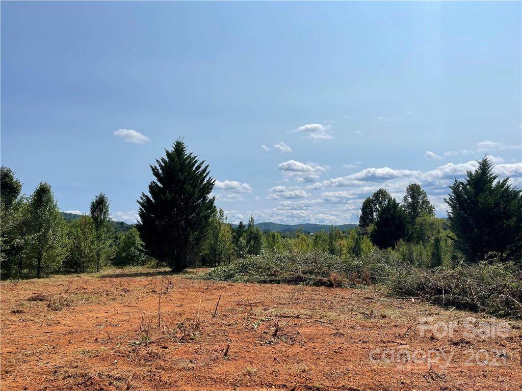 5410 Old Hendersonville Highway - Photo 1