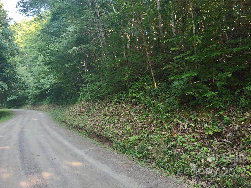 Lot 44 Hunters Ridge Road - Photo 1
