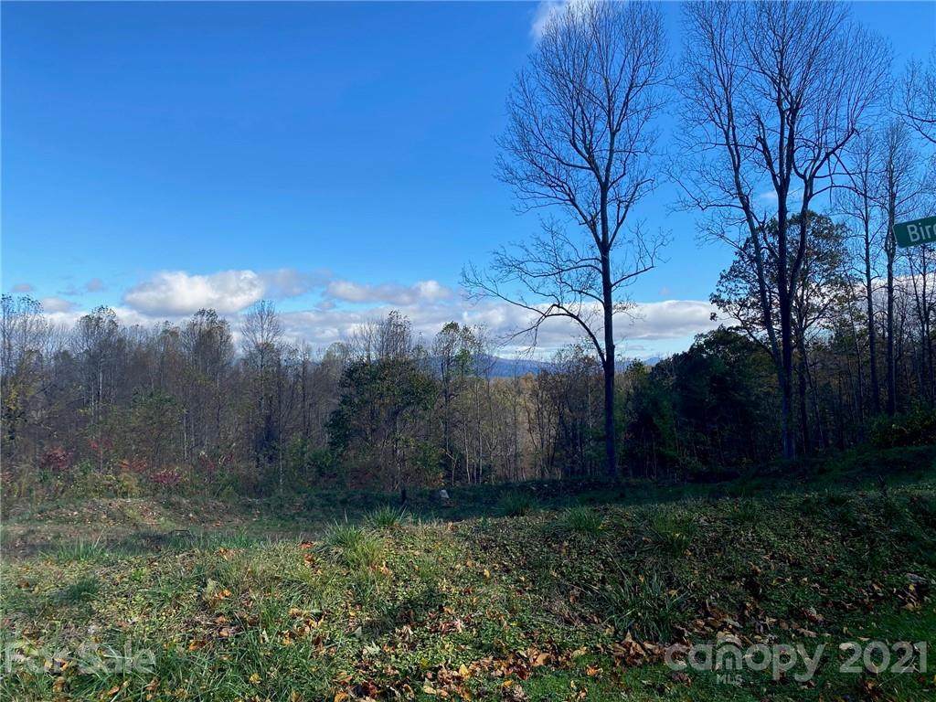 252 Pinewood Circle - Photo 1