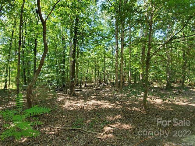 TBD Lester Davis Road - Photo 1