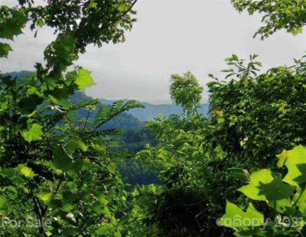Lot 43 Haven Ridge Lane - Photo 1