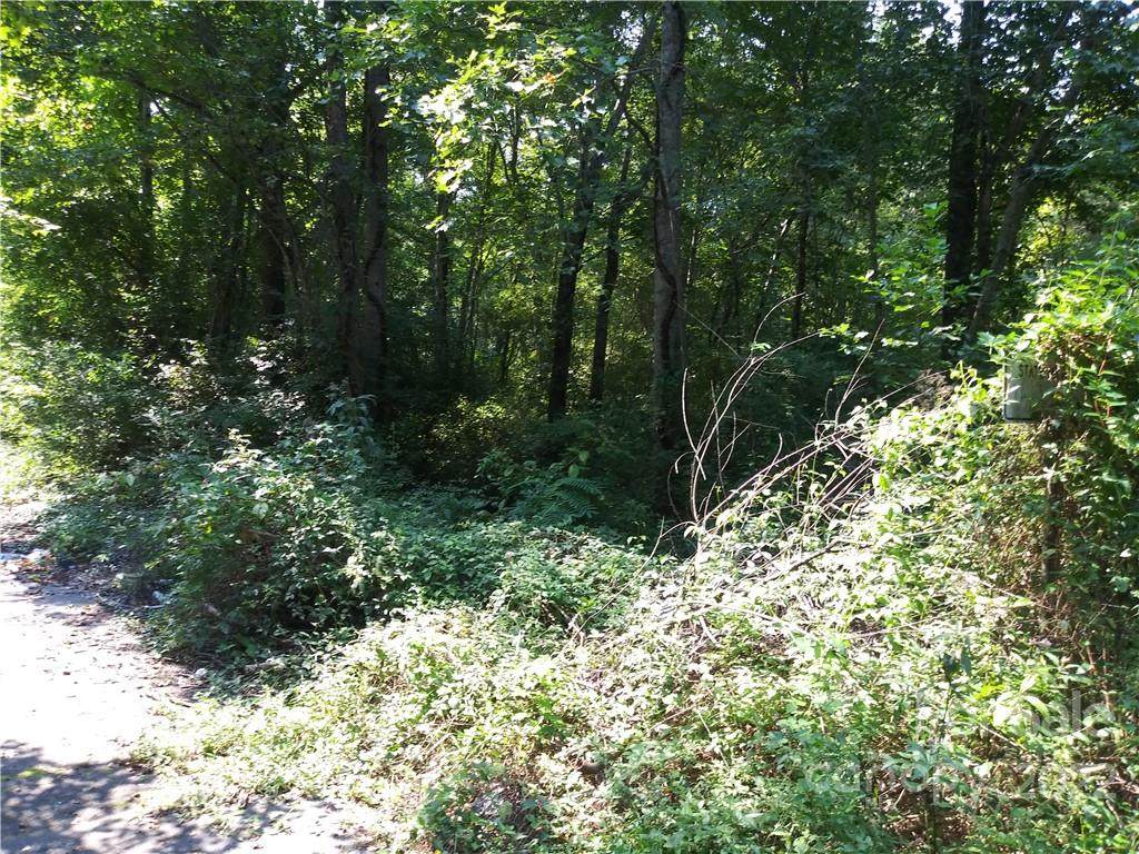 0 Falling Brook Lane - Photo 1