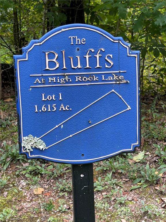 241 Bluff Lane - Photo 1