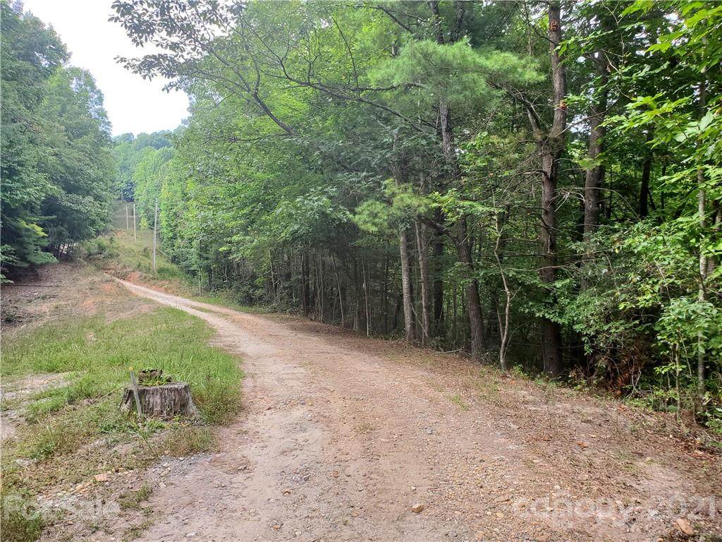 3024 Pearson Mountain Road - Photo 1