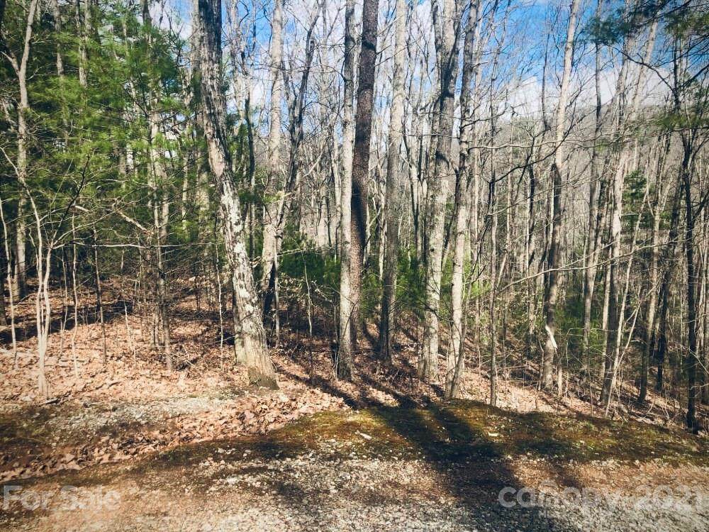 Lot 1 Windago Road - Photo 1